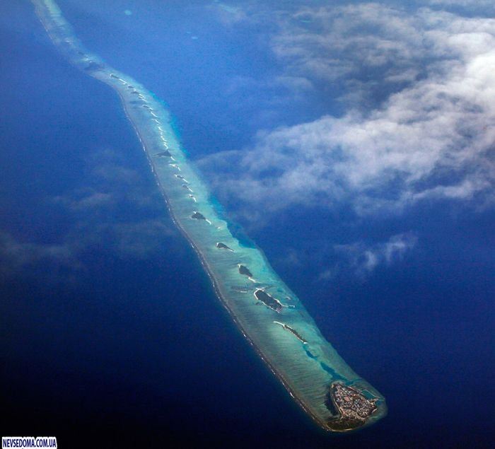 Прикольные картинки (134 фото)