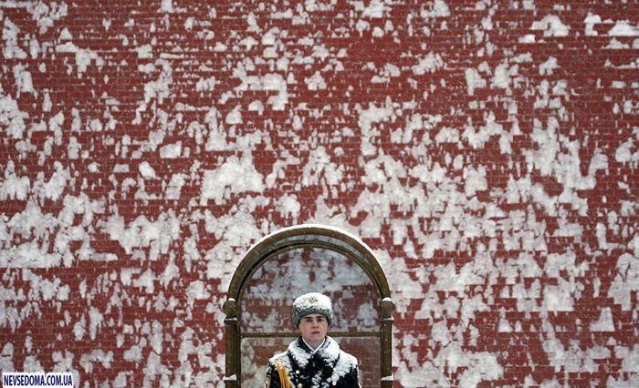 Прикольные картинки (134 фото)