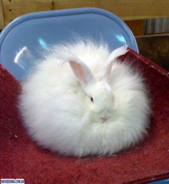 Прикольные картинки (134 фото)