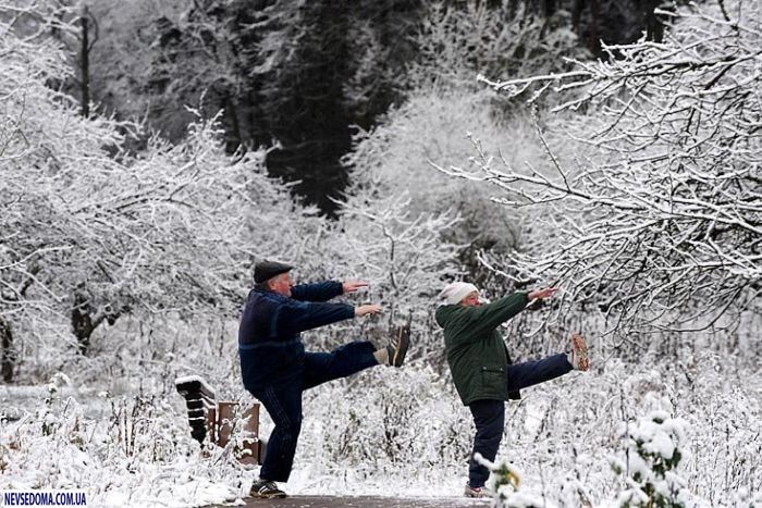 Прикольные картинки (134 фото)