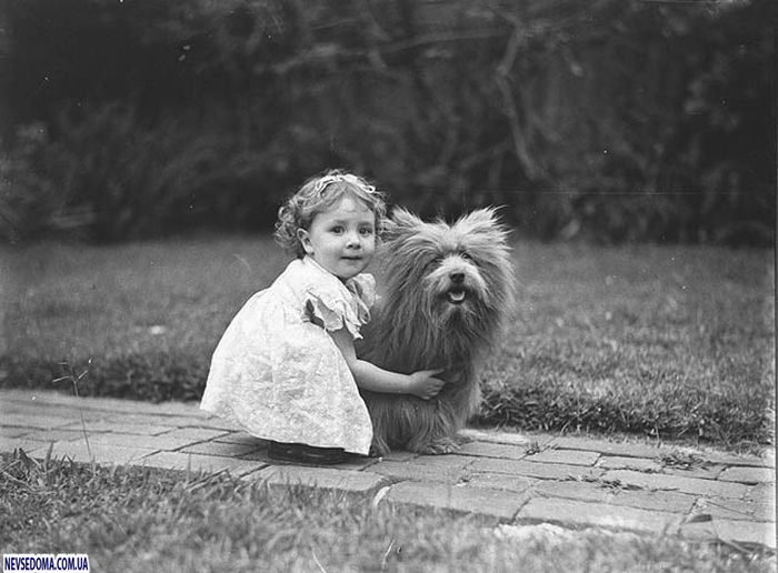 Прикольные картинки (134 фото)