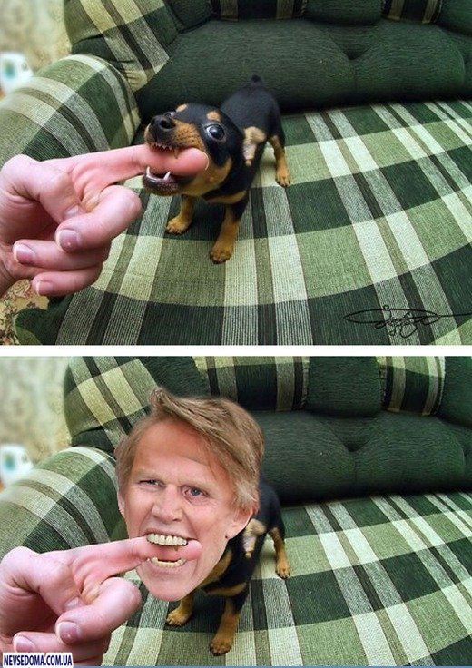 Прикольные картинки (125 фото)