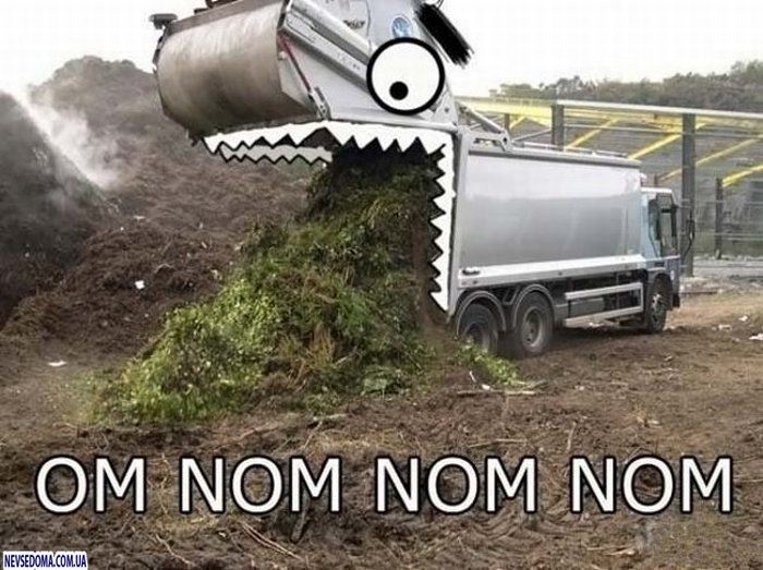 Прикольные картинки (125 фото)