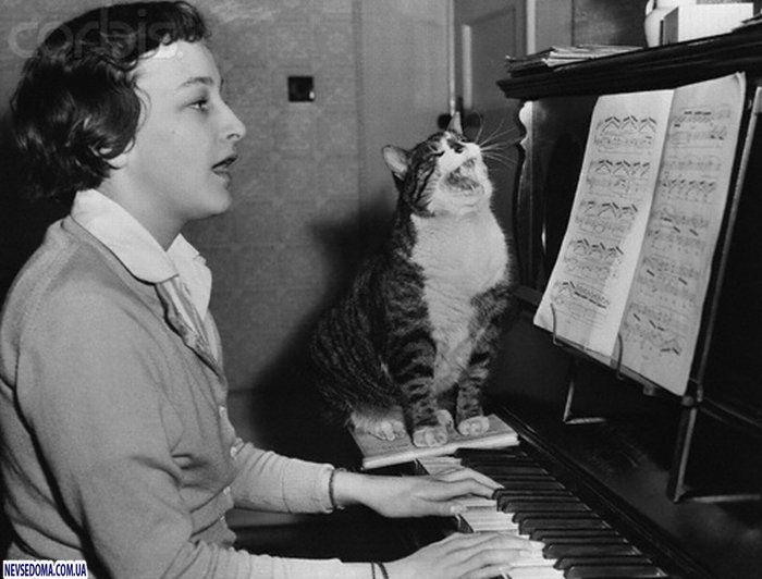 Прикольные картинки (125 фото)