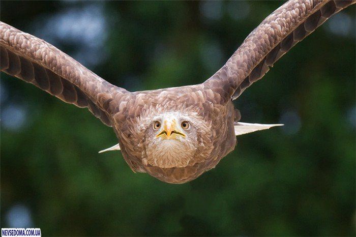 Прикольные картинки (125 фото)