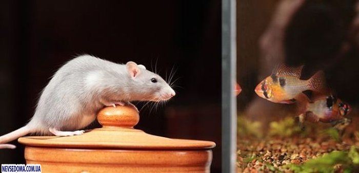 Прикольные картинки (125 фото)