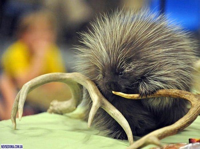 Прикольные картинки (125 фото)