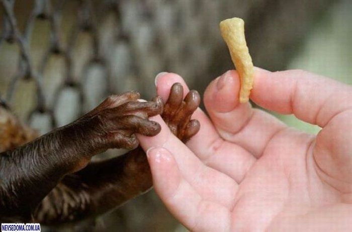 Прикольные картинки (125 фото)