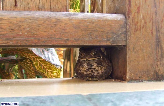 Прикольные картинки (176 фото)