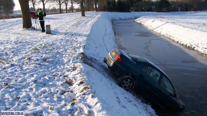 Прикольные картинки (176 фото)