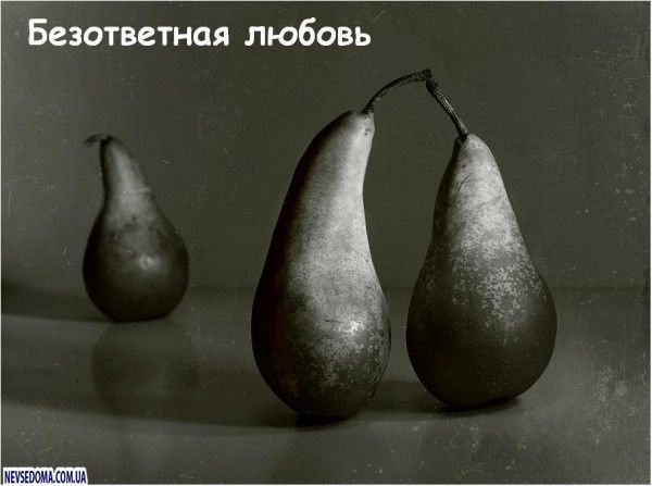 Прикольные картинки (176 фото)