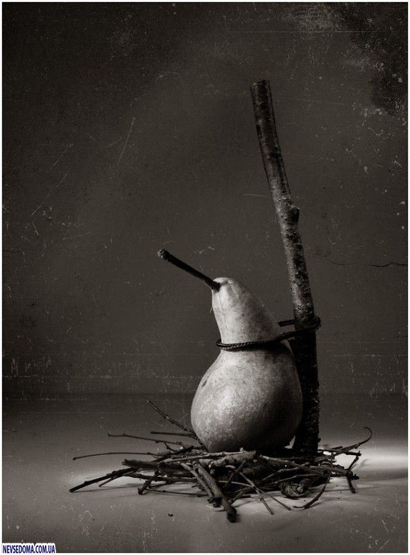 Прикольные картинки (176 фото)