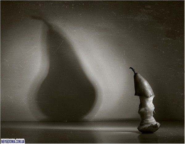 Прикольные картинки (176 фото)