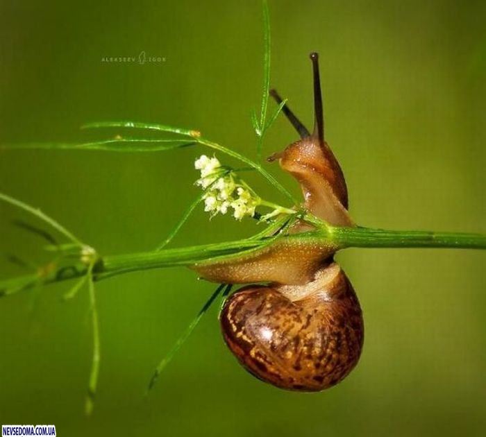 Прикольные картинки (176 фото)