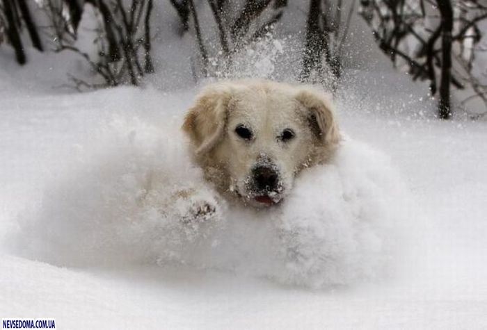 Прикольные картинки (176 фото)