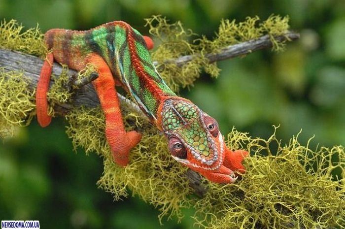 Прикольные картинки (176 фото)