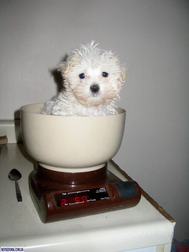 Прикольные картинки (176 фото)