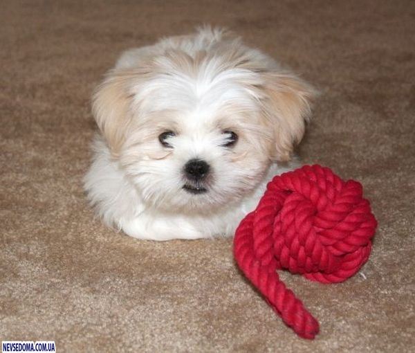 Прикольные картинки (176 фото)