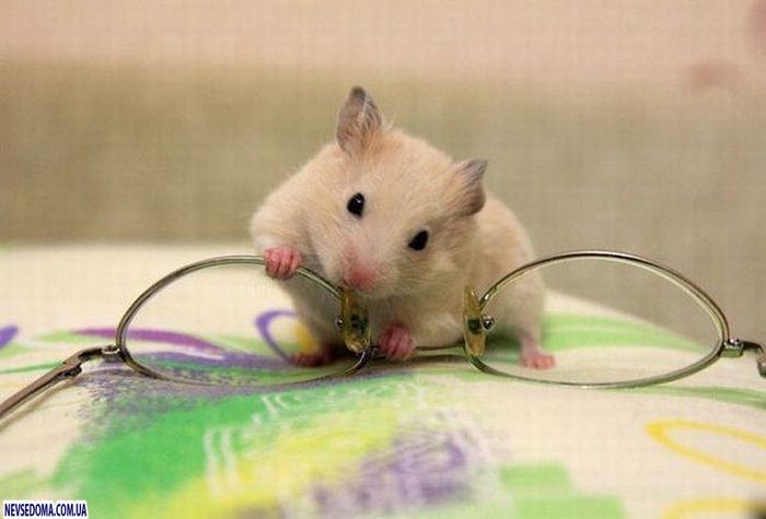 Прикольные картинки (176 фото)