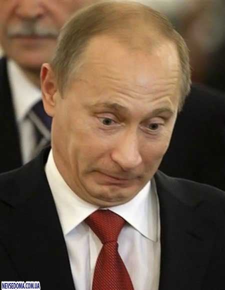 Прикольные картинки (176 фото)