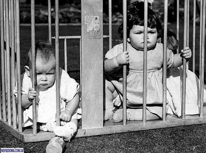 Прикольные картинки (176 фото)