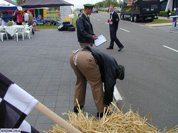 Прикольные картинки (176 фото)