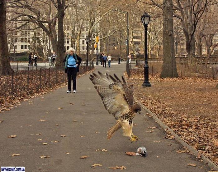 Прикольные картинки (176 фото)