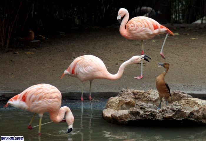 Прикольные картинки (176 фото)