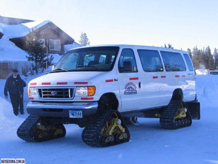 Прикольные картинки (176 фото)