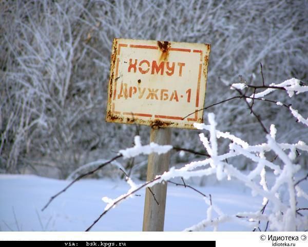 Подборка мартовских маразмов (74 фото) Подборка мартовских маразмов (74 фото)
