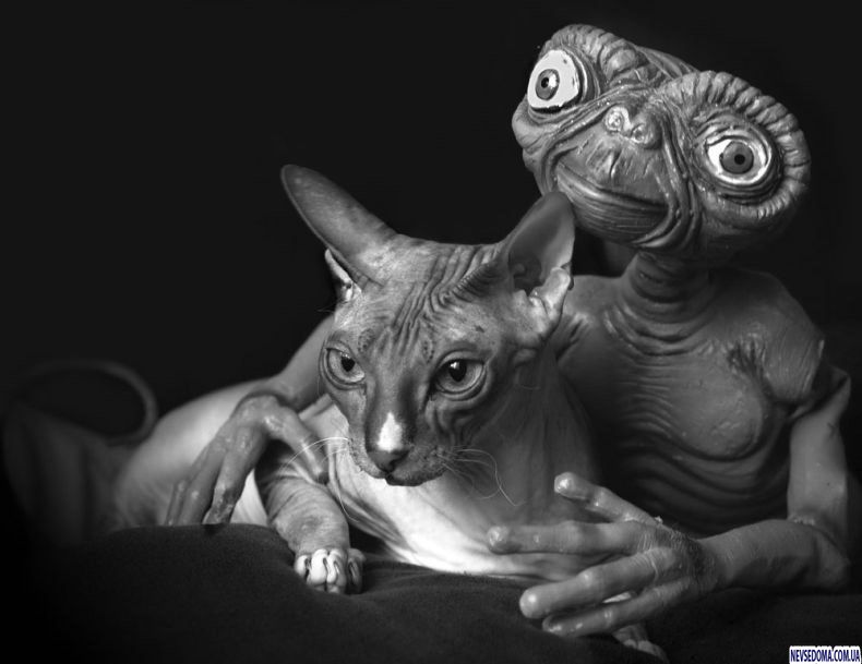 Прикольные картинки 18+ Выпуск 422