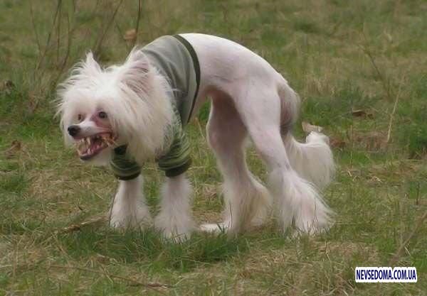 Прикольные картинки 18+ Выпуск 422