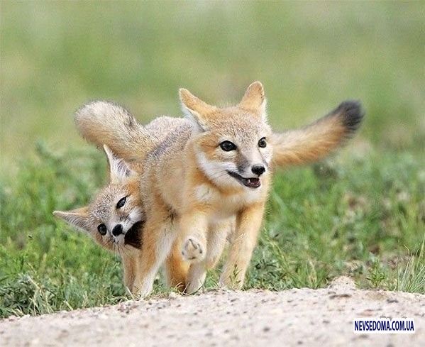 Прикольные картинки 18+ Выпуск 422