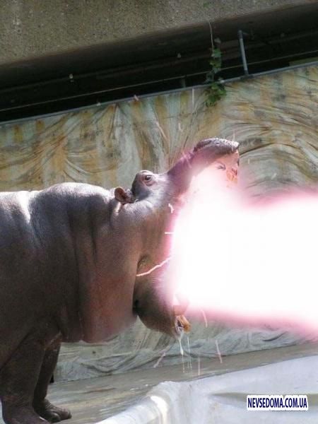 Прикольные картинки 18+ Выпуск 422