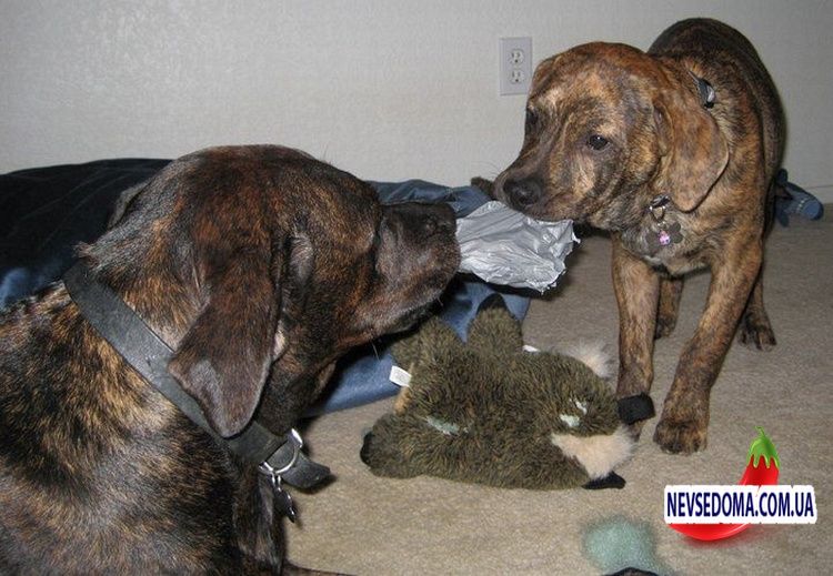 Прикольные картинки 18+ Выпуск 422