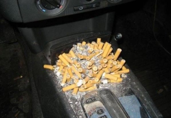 Прикольные картинки (92 фото)