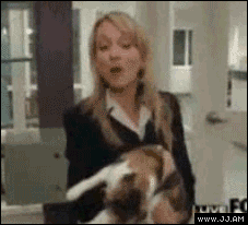 Прикольные гифки (64 фото)