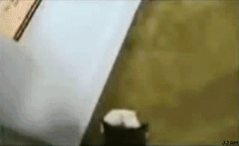 Прикольные гифки (64 фото)