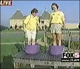 Прикольные гифки (64 фото)