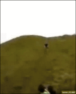 Прикольные гифки (64 фото)