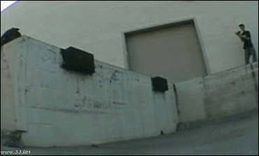 Прикольные гифки (64 фото)