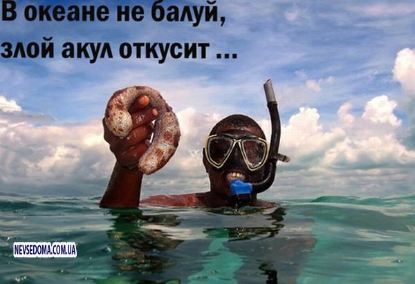 Прикольные картинки (181 фото)