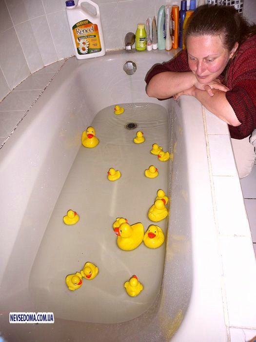 Прикольные картинки (181 фото)