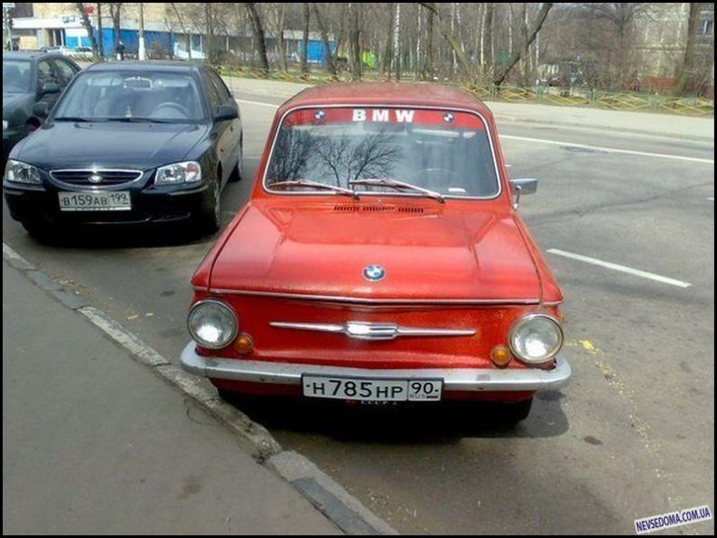 Прикольные картинки