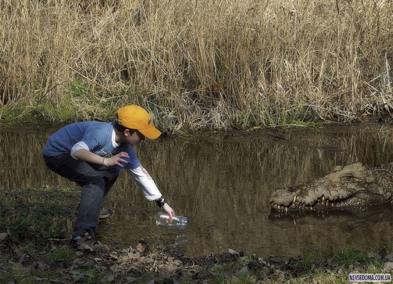 Прикольные картинки (129 фото)