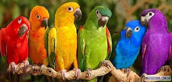 Прикольные картинки (129 фото)