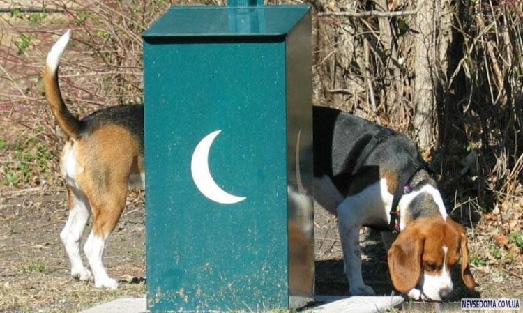 Прикольные картинки (129 фото)