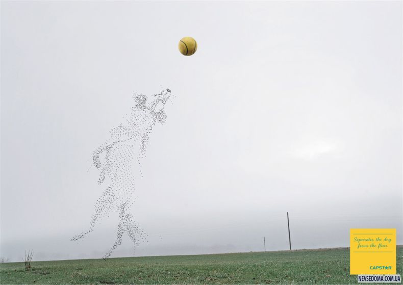 Прикольные картинки (129 фото)