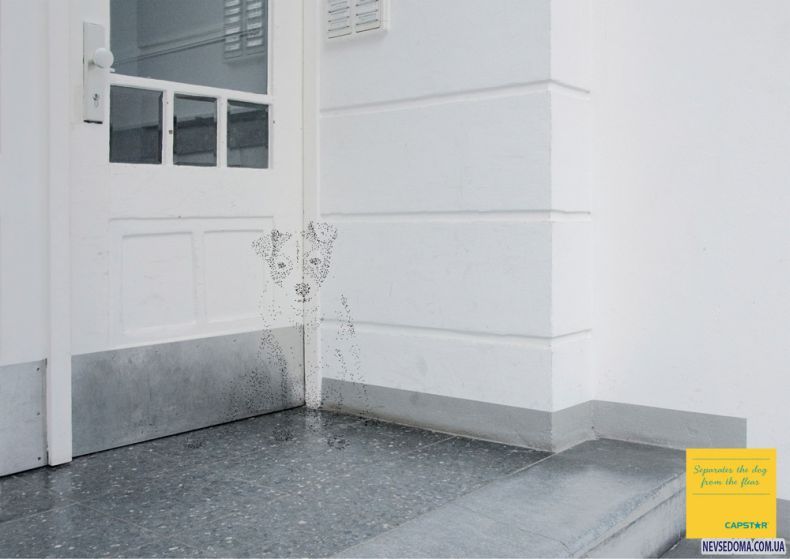 Прикольные картинки (129 фото)