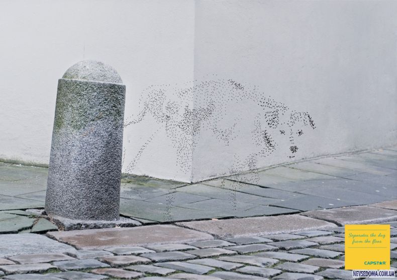 Прикольные картинки (129 фото)